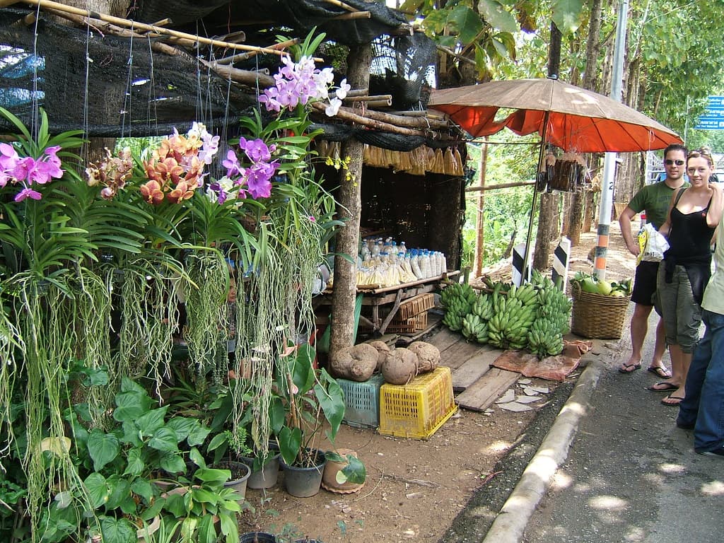 Kanchanaburi: River Kwai, Waterfalls & WWII History (2026 Guide)