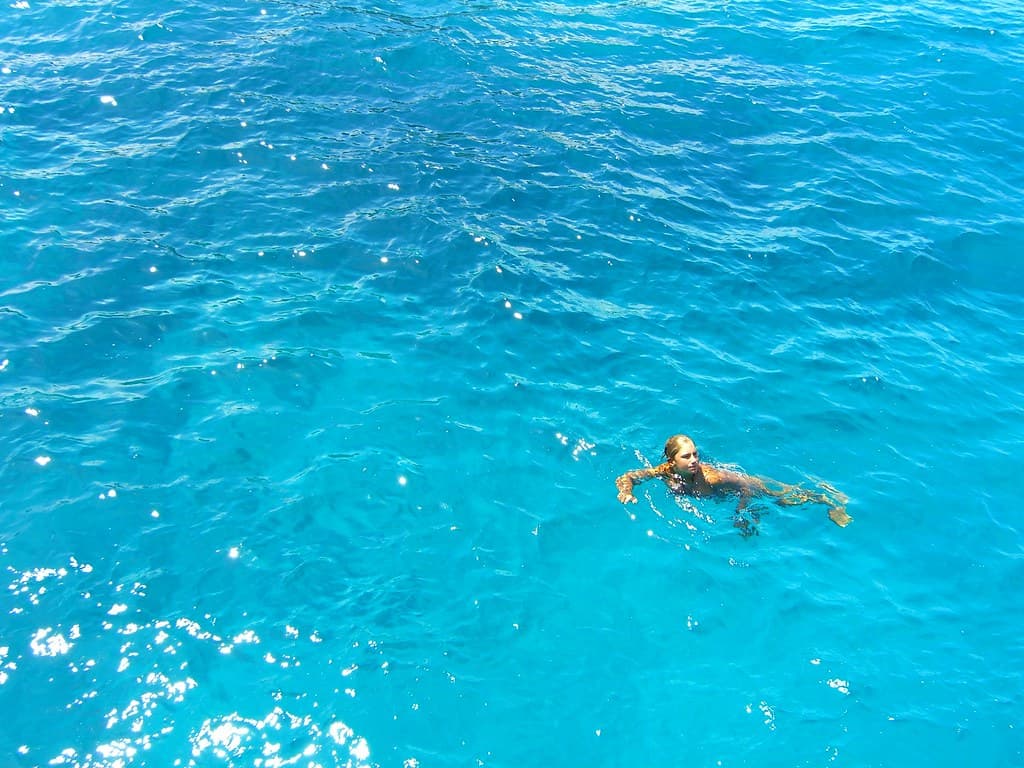 Koh Tao: Diving Paradise & PADI Certification (2026 Guide)