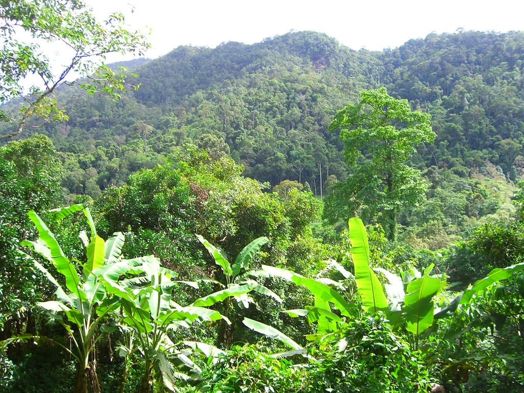 Ultimate Thailand Packing List for Backpackers (2026)